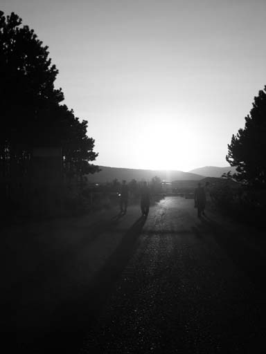 DSCN3095