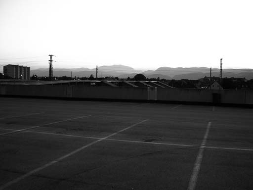 DSCN3099