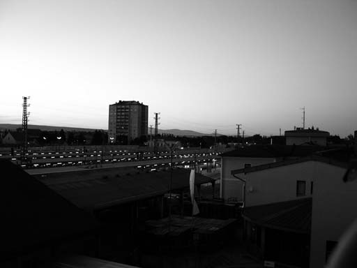 DSCN3120