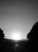 DSCN3096