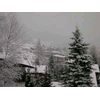 DSCN1992.jpg [42 KB]