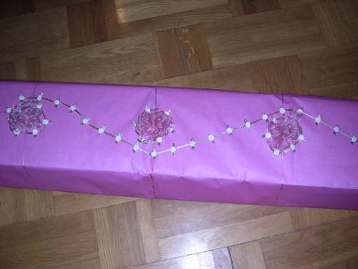 DSCN5963