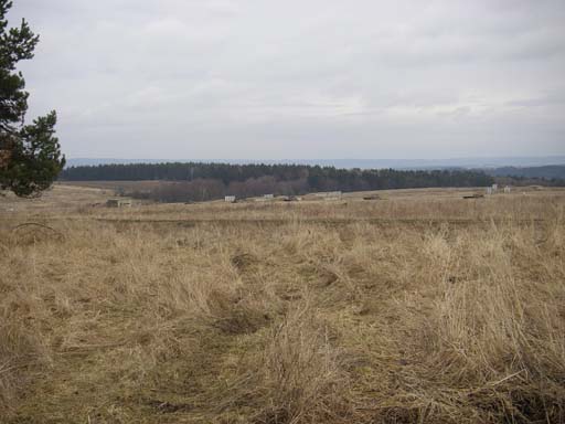 P3170040