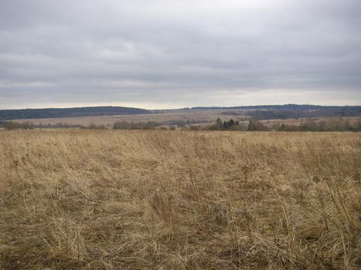 P3170051