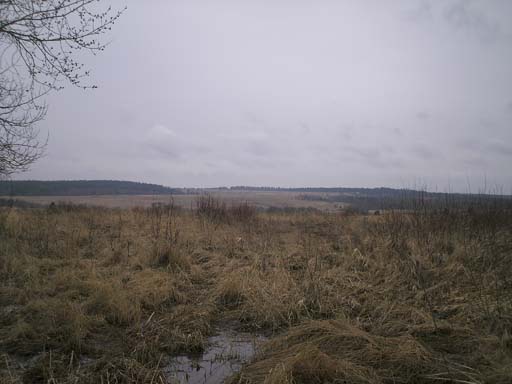 PICT0051
