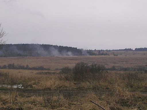 PICT0065