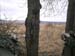 PICT0058