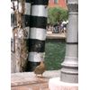 DSCN5279.jpg [62 KB]