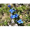 DSCN2189.jpg [76 KB]