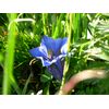 DSCN2209.jpg [50 KB]