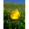 DSCN2210.jpg [35 KB]