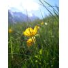 DSCN2211.jpg [50 KB]