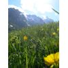 DSCN2212.jpg [51 KB]