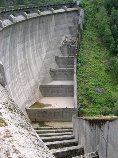 DSCN8197