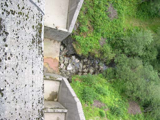 DSCN8202