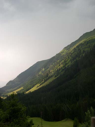 DSCN8204