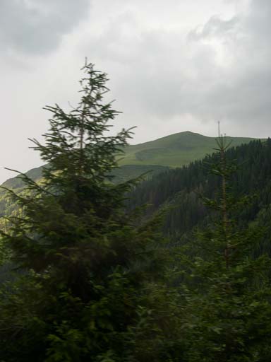 DSCN8205