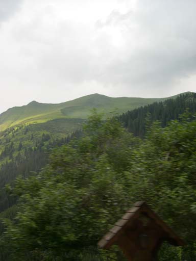 DSCN8206