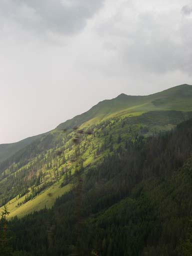 DSCN8207
