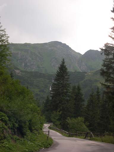 DSCN8208