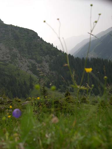 DSCN8218