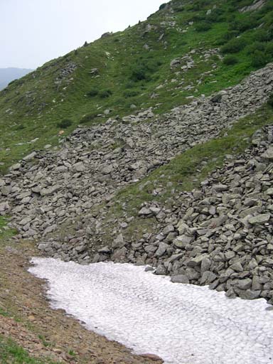DSCN8229