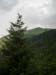 DSCN8205