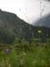 DSCN8218