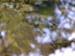 DSCN8236