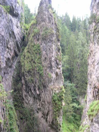 DSCN9811