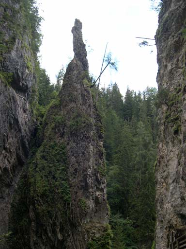 DSCN9812