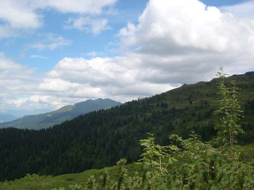DSCN9833