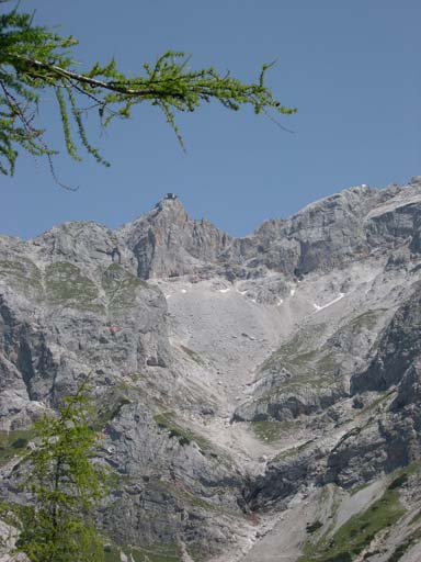DSCN9931