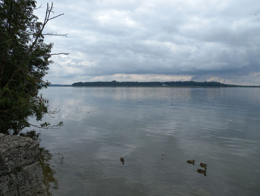 DSCN0085