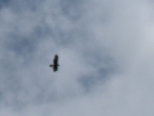 DSCN0120