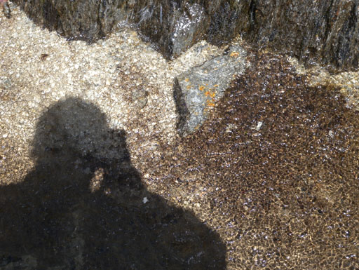 DSCN0136