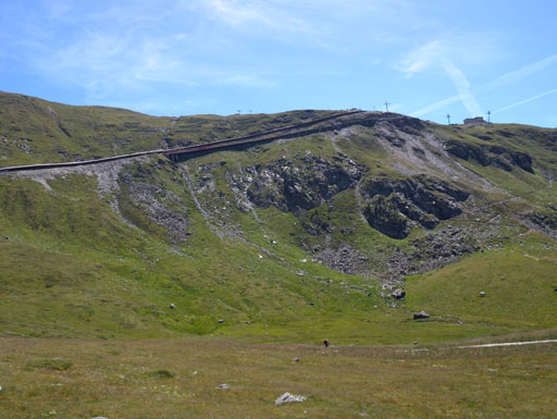 DSCN0260