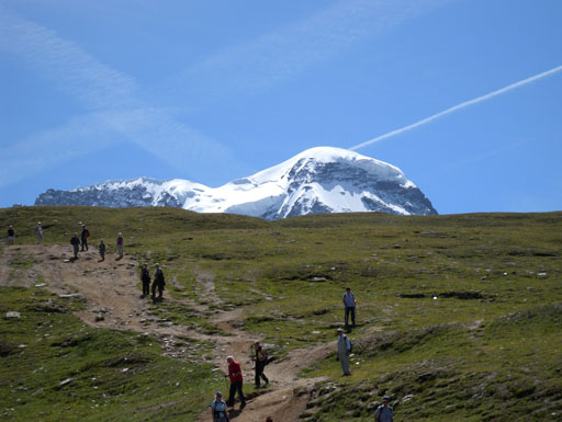 DSCN0263
