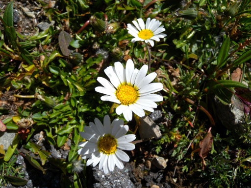 DSCN0316