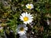DSCN0316
