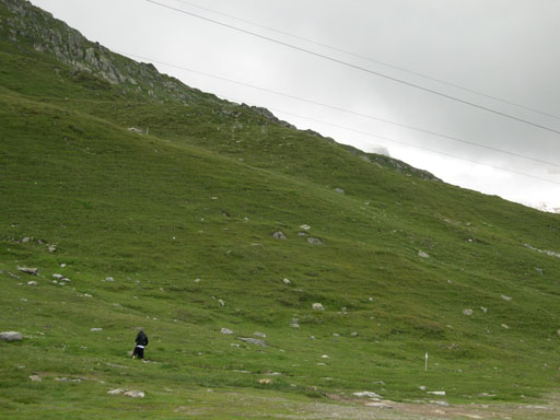 DSCN3996