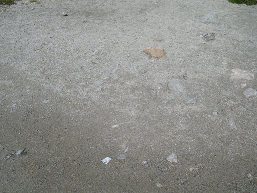 DSCN4021