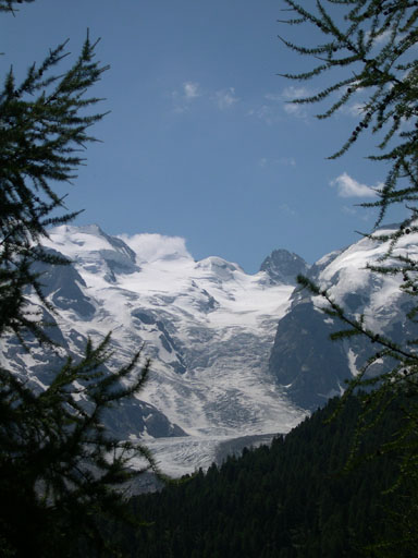 DSCN4236
