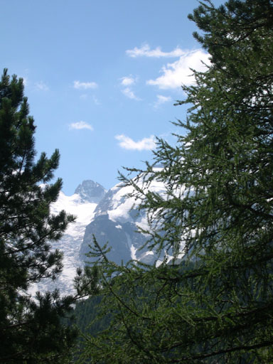DSCN4237