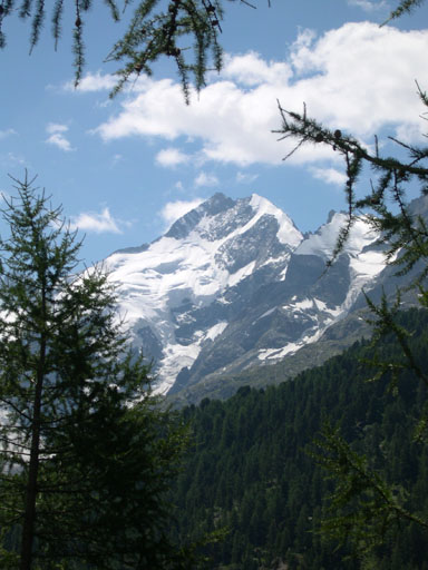 DSCN4238