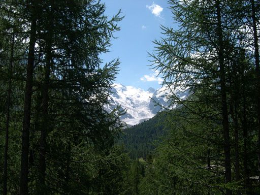 DSCN4239