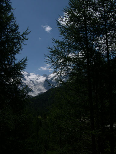 DSCN4240