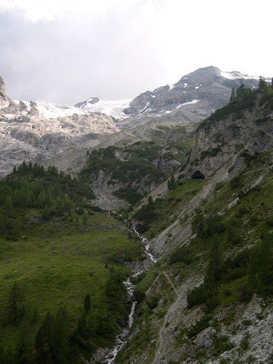 DSCN4285