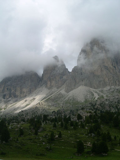 DSCN4297