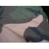 DSCN1715.jpg [23 KB]